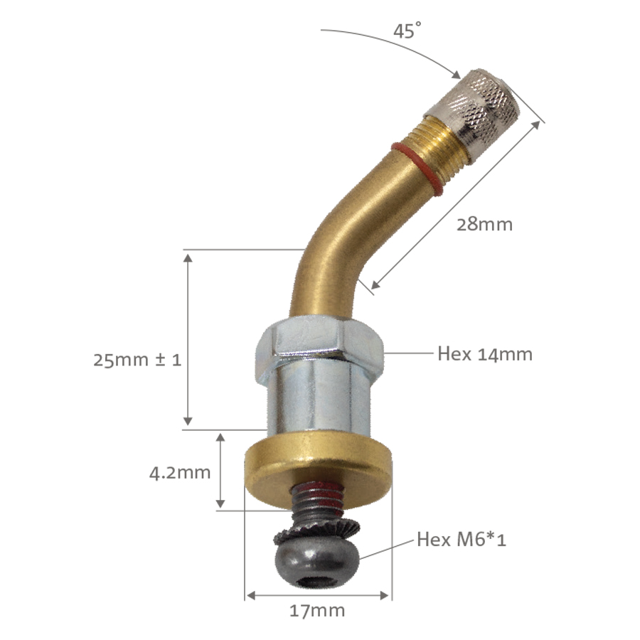 Hamaton Truck TPMS Valves 45 Degree Angle Box of 10 - Valves and Service Kits